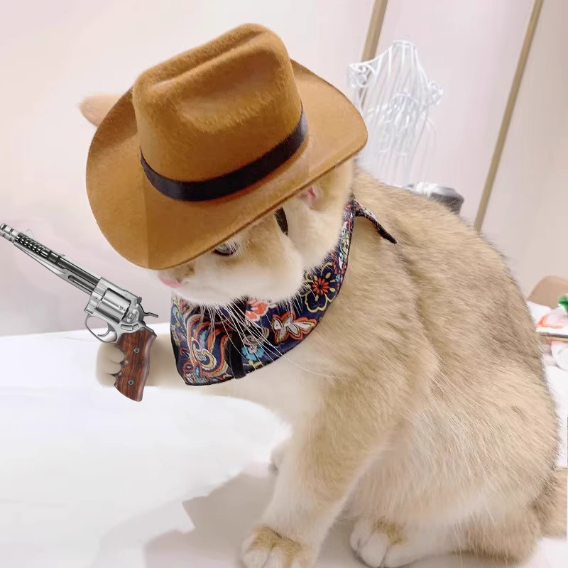    Ковбойская шляпа для кошек – обзор и цена Cowboy Hat Straw